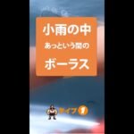 【1型糖尿病】あっという間のボーラス#速攻ボーラス