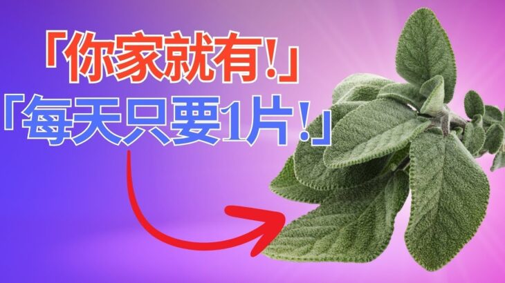 「1片叶子毁灭糖尿病，瞬间融化肚腩脂肪，快速清除血管！医生都震惊」