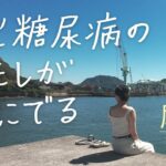 【夏の尾道】1型糖尿病になった私が旅にでた｜猫と海と山の街｜神勝寺でアートと禅を感じる
