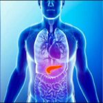 🩺「日本の糖尿病危機！10人に1人が影響を受ける現状とは？」#日本 #糖尿病 #健康 #2型糖尿病 #血糖値 #健康生活 #心臓病 #高齢化 #健康診断#MSK News