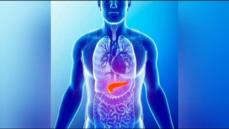 🩺「日本の糖尿病危機！10人に1人が影響を受ける現状とは？」#日本 #糖尿病 #健康 #2型糖尿病 #血糖値 #健康生活 #心臓病 #高齢化 #健康診断#MSK News