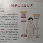 糖尿病のはなし(1)(2)