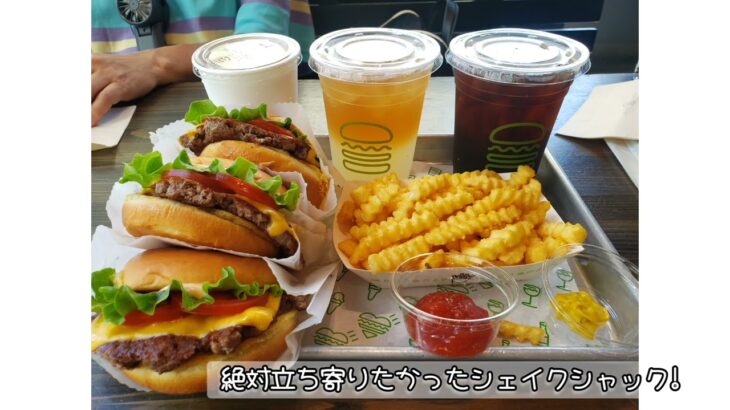 【二型糖尿病でも旅行に行きたい】好き勝手食べて+2㎏、翌日から徐々に戻そうとする横浜旅行最終日