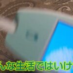 【2型糖尿病インスリン治療患者】ある日の血糖値