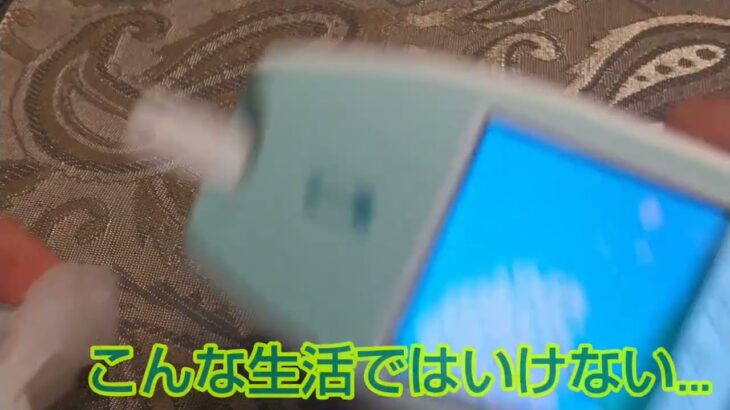 【2型糖尿病インスリン治療患者】ある日の血糖値