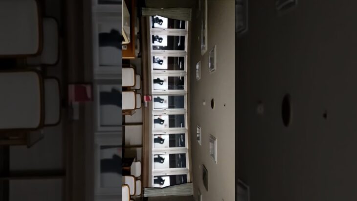妖精のパラパラ #2回目の糖尿病教育入院中