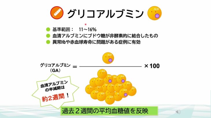 2025 中信糖尿病療養指導士育成講習会『糖尿病の検査』