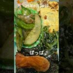 #25/8/28/6:30#糖尿病お弁当#パパ