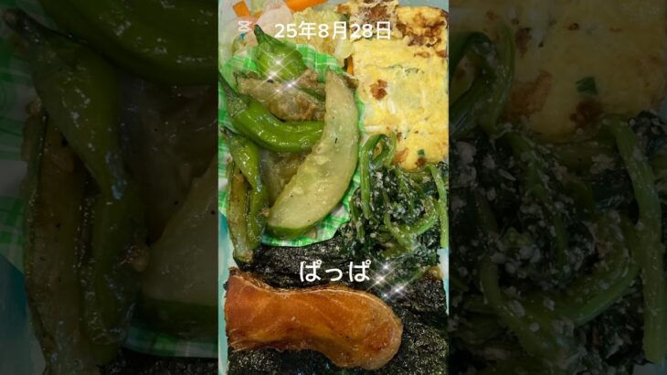 #25/8/28/6:30#糖尿病お弁当#パパ