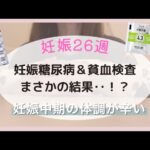 [妊娠26週]妊娠糖尿病&貧血検査結果📝薬の処方と妊娠中期の体のリアルな悩み😭