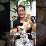 炭酸飮料の飲み過ぎで糖尿病を発症し死亡した3選 #芸能人 #芸能 #高校野球 #芸能 #雑学