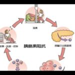 胰島素阻抗警訊！肥胖不運動恐變糖尿病 醫師教你3招逆轉