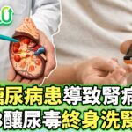 5成糖尿病患導致腎病變 其1/3釀尿毒終身洗腎【健康2.0分段】@tvbshealth20 EP3080-1  20250830 #鄭凱云#祝年豐#江守山#羅珮琳#馬瑞彣#許聖梅#雷議宗