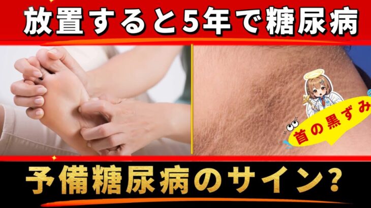 【警告】知らないと5年で糖尿病に！予備糖尿病の危険サインと改善法【糖尿病・血糖値・HbA1c】