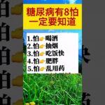 糖尿病有8怕一定要知道🙏#阿彌陀佛 #佛祖 #保佑 #平安 #财运 #正能量 #人生感悟 #佛教 #感情 #人生 #熱門 #foryou #shorts #shortvideo #分享