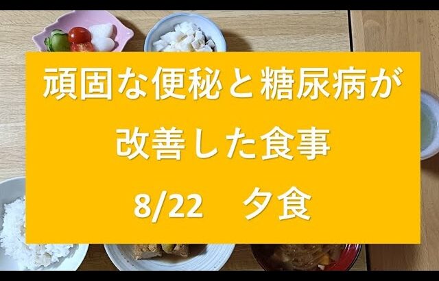 頑固な便秘と糖尿病が改善した食事　8/22の夕食