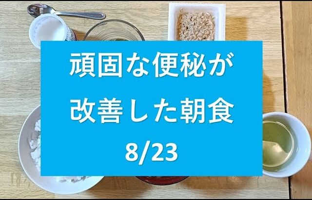 頑固な便秘と糖尿病が改善した食事　8/23の朝食