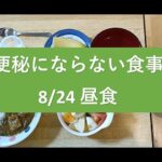 頑固な便秘と糖尿病が改善した食事　8/24の昼食