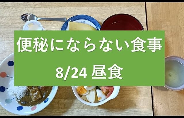 頑固な便秘と糖尿病が改善した食事　8/24の昼食