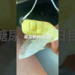 ちっちゃい北海道バタースフレ食べた糖尿病892日目食事記録  #糖尿病の品格 #糖尿病 #心筋梗塞 #血糖値 #hba1c #北海道 #菓子パン