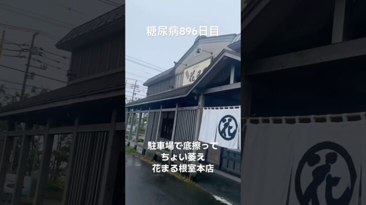 回転寿司花まる根室本店行って乞食娯楽した糖尿病896日目食事記録 #回転寿司 #乞食娯楽  #糖尿病の品格 #糖尿病 #心筋梗塞 #血糖値 #hba1c