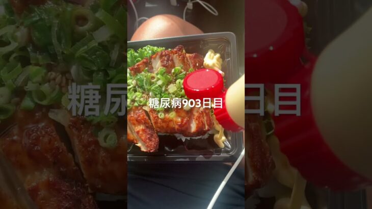 半額乞食した弁当にマヨぶっかけて食べた糖尿病食事記録903日目食事記録 #乞食娯楽  #糖尿病の品格 #糖尿病 #心筋梗塞 #血糖値 #hba1c #半額