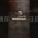 手作りが多かった日糖尿病903日目食事記録  #糖尿病の品格 #糖尿病 #心筋梗塞 #血糖値 #hba1c #ダイアベティス