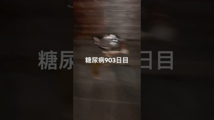 手作りが多かった日糖尿病903日目食事記録  #糖尿病の品格 #糖尿病 #心筋梗塞 #血糖値 #hba1c #ダイアベティス