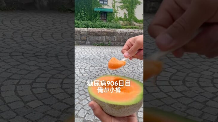 小樽運河で夕張メロン食べた糖尿病906日目野生のくたばりかけの婆さんも欲しがって話しかけてきたけど俺が小樽や #糖尿病の品格 #石原裕次郎  #糖尿病 #心筋梗塞  #hba1c #ダイアベティス