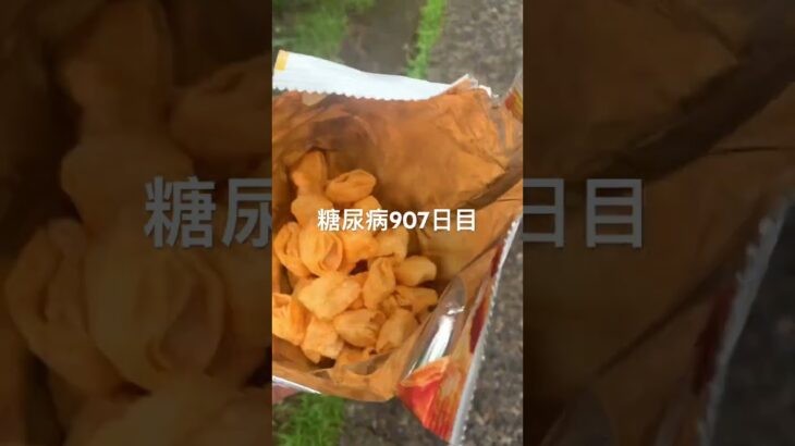 エアリアルのパチモン食べた糖尿病907日目食事記録 #エアリアル  #糖尿病の品格 #糖尿病 #心筋梗塞 #血糖値 #hba1c #ダイアベティス