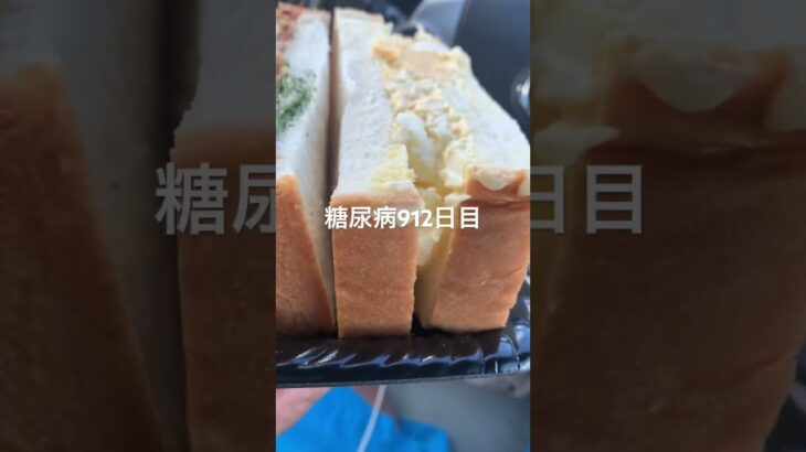 ザコサンドにマヨぶっかけて幸な糖尿病912日目食事記録 #マヨネーズ  #糖尿病の品格 #糖尿病 #心筋梗塞 #血糖値 #hba1c #ダイアベティス