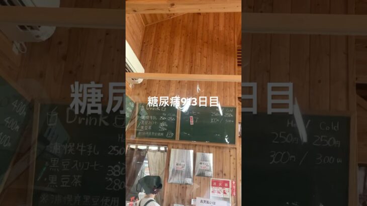 きなこのソフトクリーム食べた糖尿病913日目食事記録 #ソフトクリーム  #糖尿病の品格 #糖尿病 #心筋梗塞 #血糖値 #hba1c #ダイアベティス