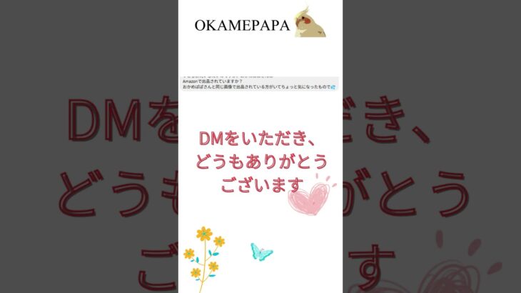 Amazonで転売されていました。#一型糖尿病#インスリンポンプポーチ