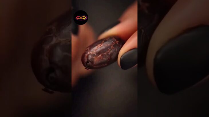 CACAO NFT MINER