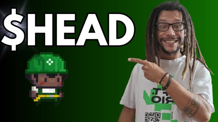 Comunidade Minds BR Lançamento do $HEAD: Mais que NFT Uma comunidade com propósito e utilidade real.