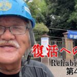 【#糖尿病 #闘病記】DAY448 雨の墓場(ぼじょう)【#散歩】2025年8月1日の記録
