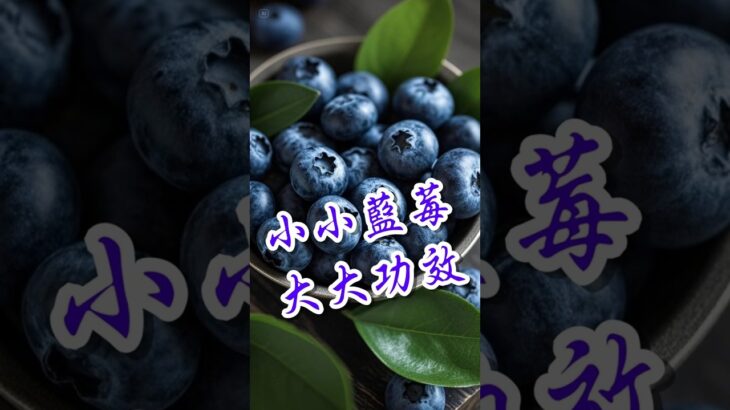 【糖尿病人必看】藍莓控血糖有多厲害？醫師揭密最新研究 #糖尿病飲食 #藍莓功效 #低GI水果