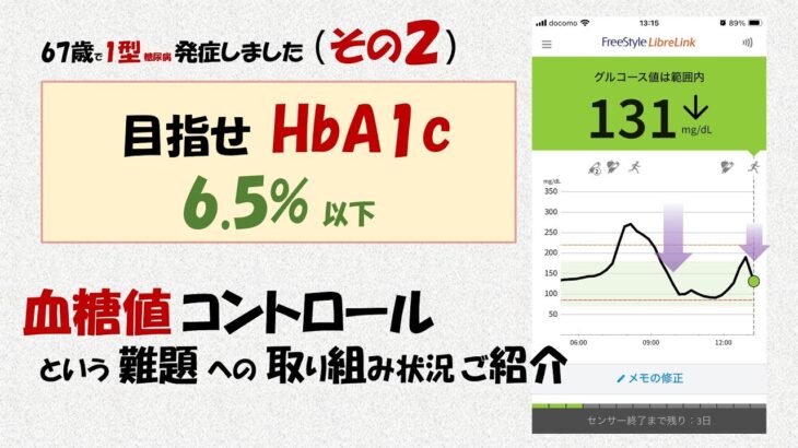 目指せHbA1c 6.5%（67歳で1型糖尿病発症 その２）