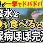 【糖尿病ほぼ完治!?】炭酸水に入れるだけで血糖値&HbA1cが下がる食べ物で2週間で-14キロ！と避けるべき食べ方【ごっそり痩せる・便秘解消・代謝アップ・ダイエット効果・糖尿病・高齢者・血糖値】