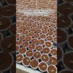 Hệ thống NFT- Thủy canh- Hydroponics: Tiết kiệm tới 90% nước. Đây là công nghệ thủy canh hồi lưu NFT