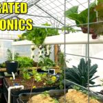 Integrated Aquaponics System with DWC, NFT, DRZ, Sand Beds + MORE – Kerrville Texas USA
