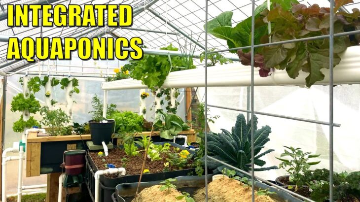 Integrated Aquaponics System with DWC, NFT, DRZ, Sand Beds + MORE – Kerrville Texas USA