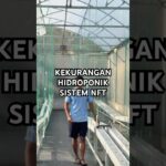 Kekurangan hidroponik sistem nft #kebunmelon #berkebun #melonhidroponik #nftsystem #hidroponik