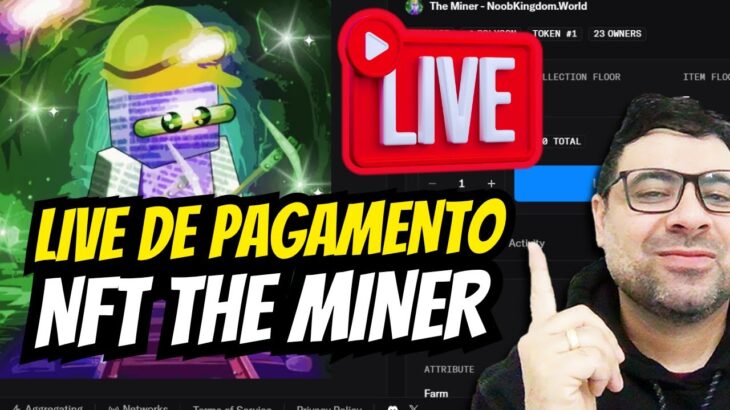 LIVE – PAGAMENTO DOS HOLDERS DA NFT NOOB  THE MINER