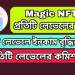 Magic NFT প্রতিটি লেভেলের শর্ত | Magic NFT প্রতিটি লেভেলে ইনকাম বৃদ্ধির হার