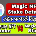 Magic NFT stake details | Treasure NFT stake vs Magic NFT Stake