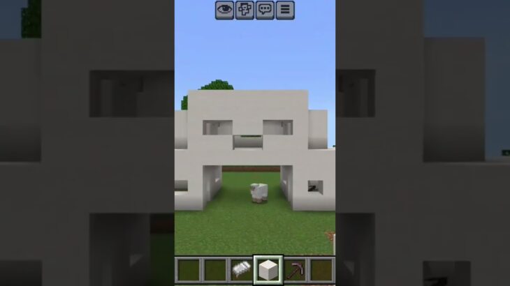 Minecra.nFt great home video