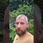 Первая партия NFT готова. Но мы не торопимся — выкладывать их на маркетплейс Web3.0 пока не будем.
