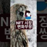 NFT 시장 변화무쌍 상황 반전 #문버드 #이더리움 #알트코인