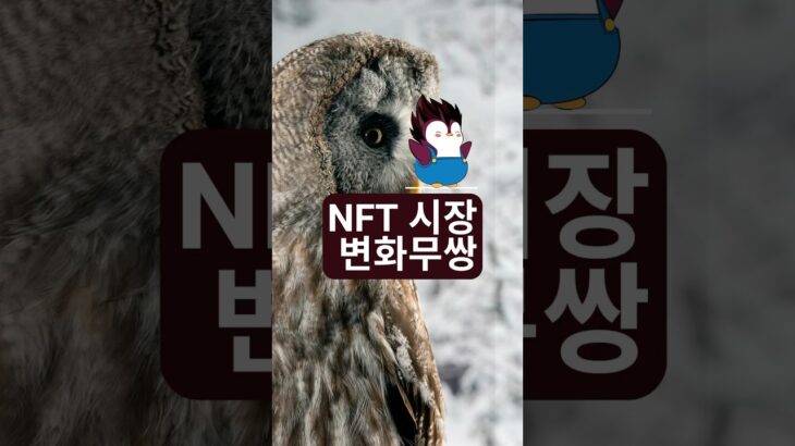 NFT 시장 변화무쌍 상황 반전 #문버드 #이더리움 #알트코인